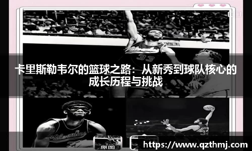 中欧体育平台